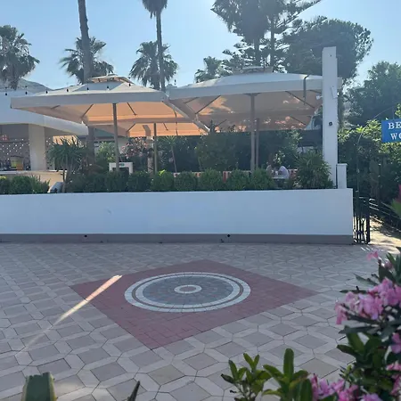 بيتشوود