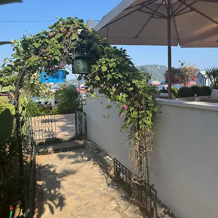 Beachwood * מרמריס